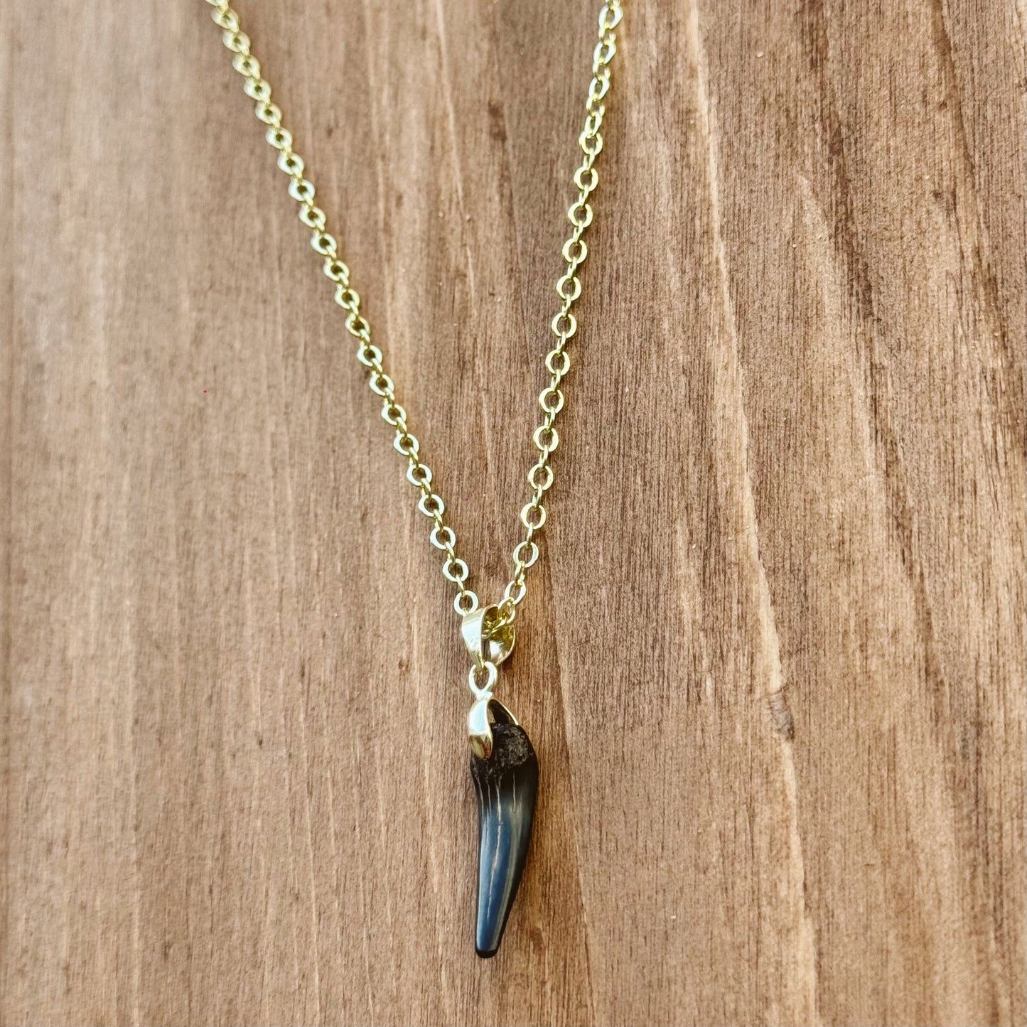 fossil sand tiger pendant necklace