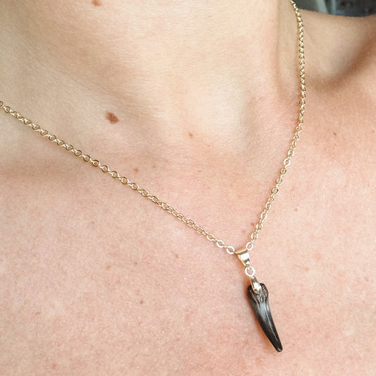 fossil sand tiger pendant necklace
