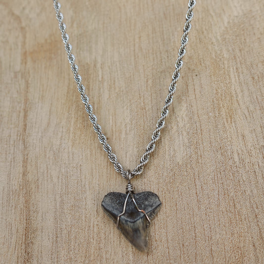 men’s bullshark necklace