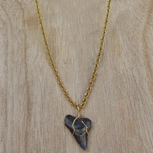 men’s bullshark necklace