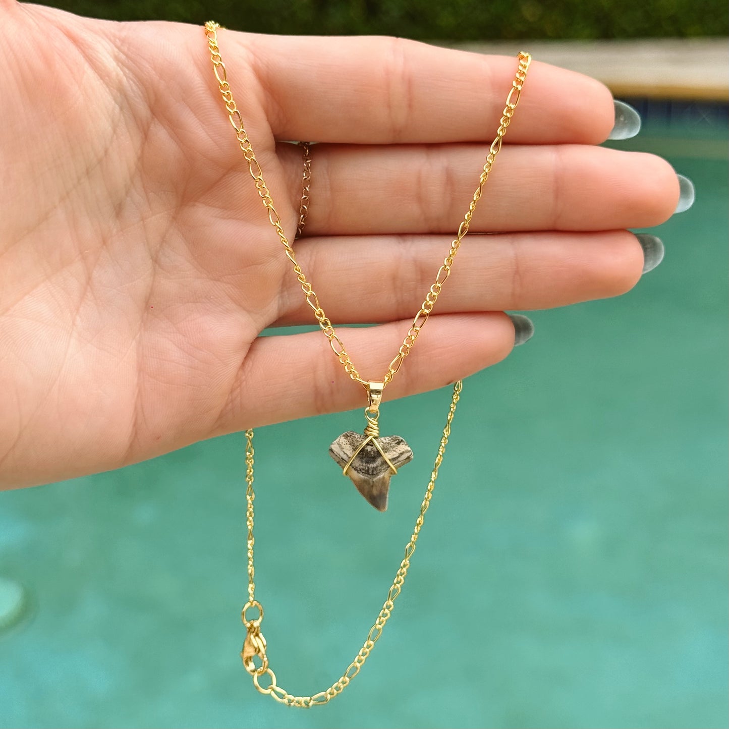 bull shark figaro necklace