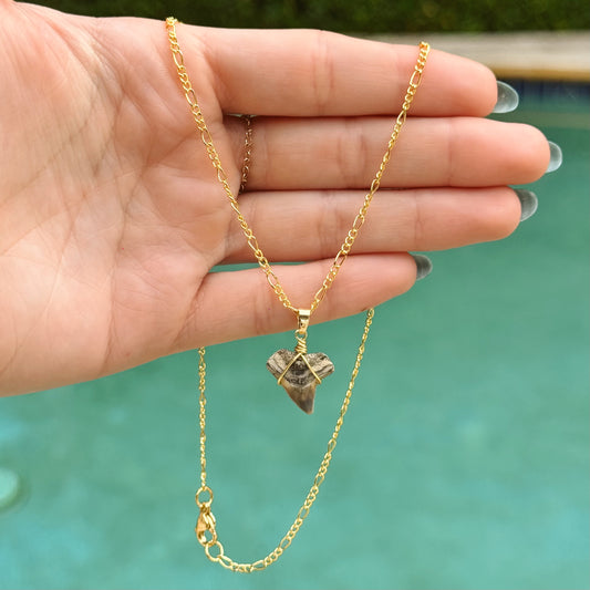 bull shark figaro necklace