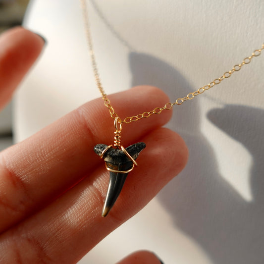 Fossil Mako Shark Necklace