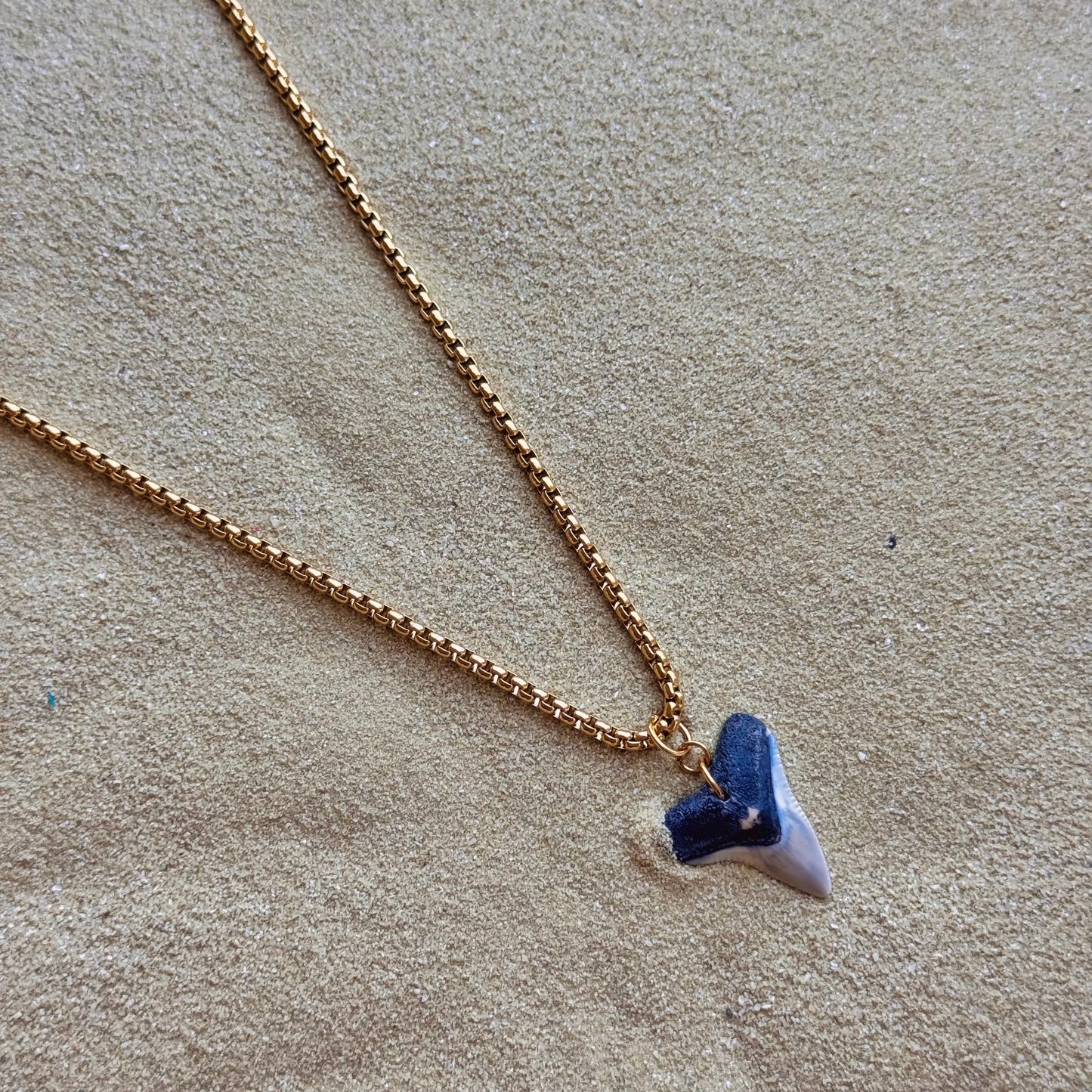 men’s bull shark necklace