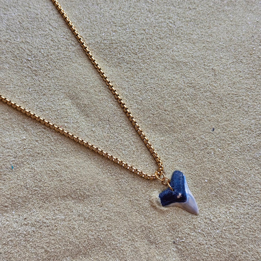 men’s bull shark necklace