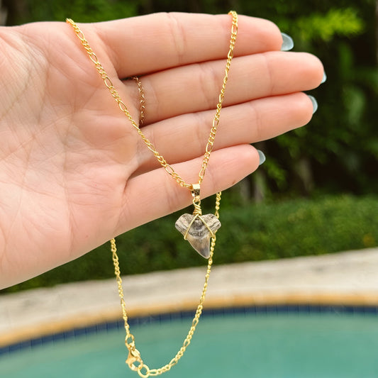 bull shark figaro necklace