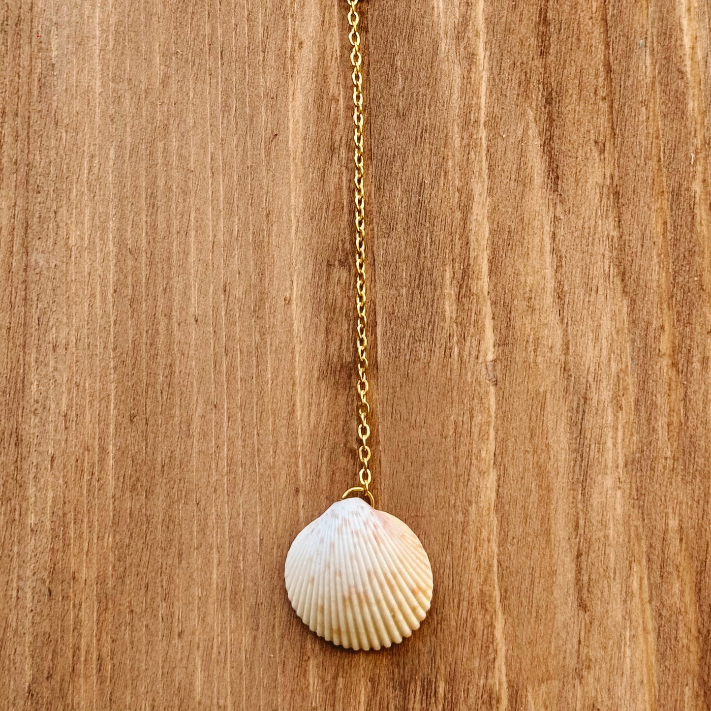 scallop shell drop necklace