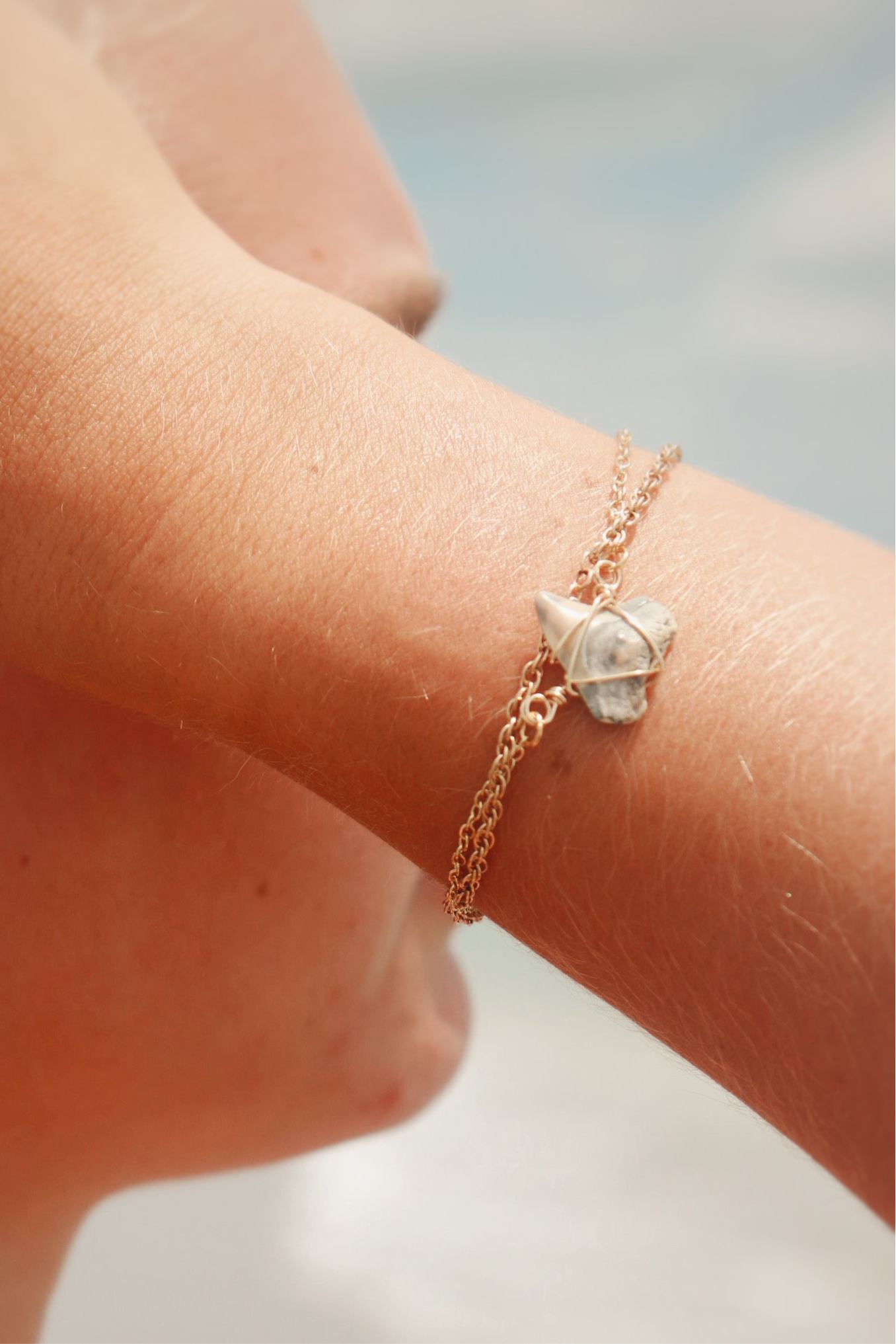 Bull Shark Bracelet