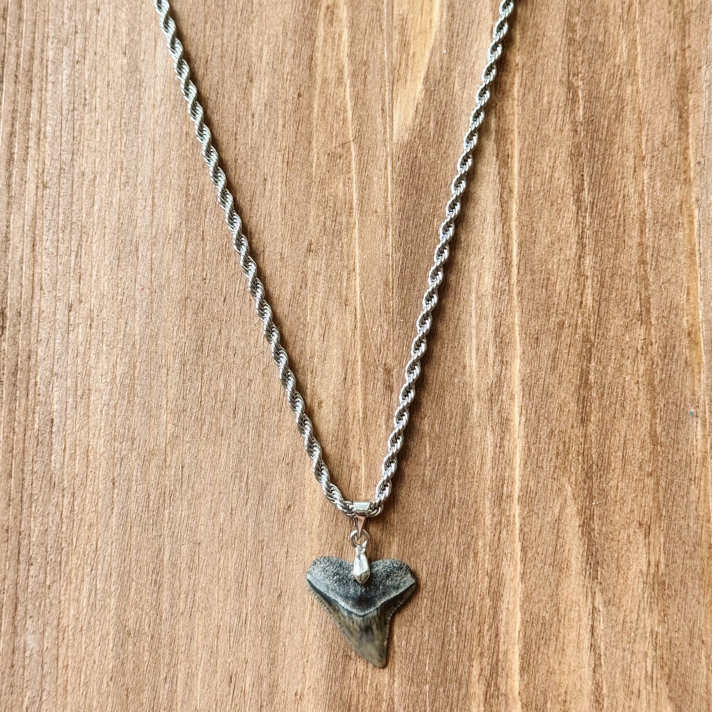 men’s bull shark necklace
