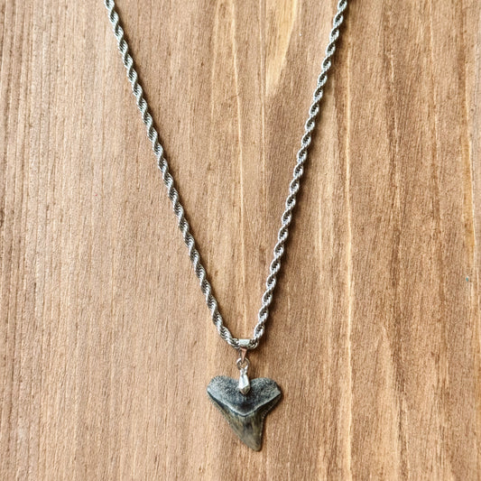 men’s bull shark necklace
