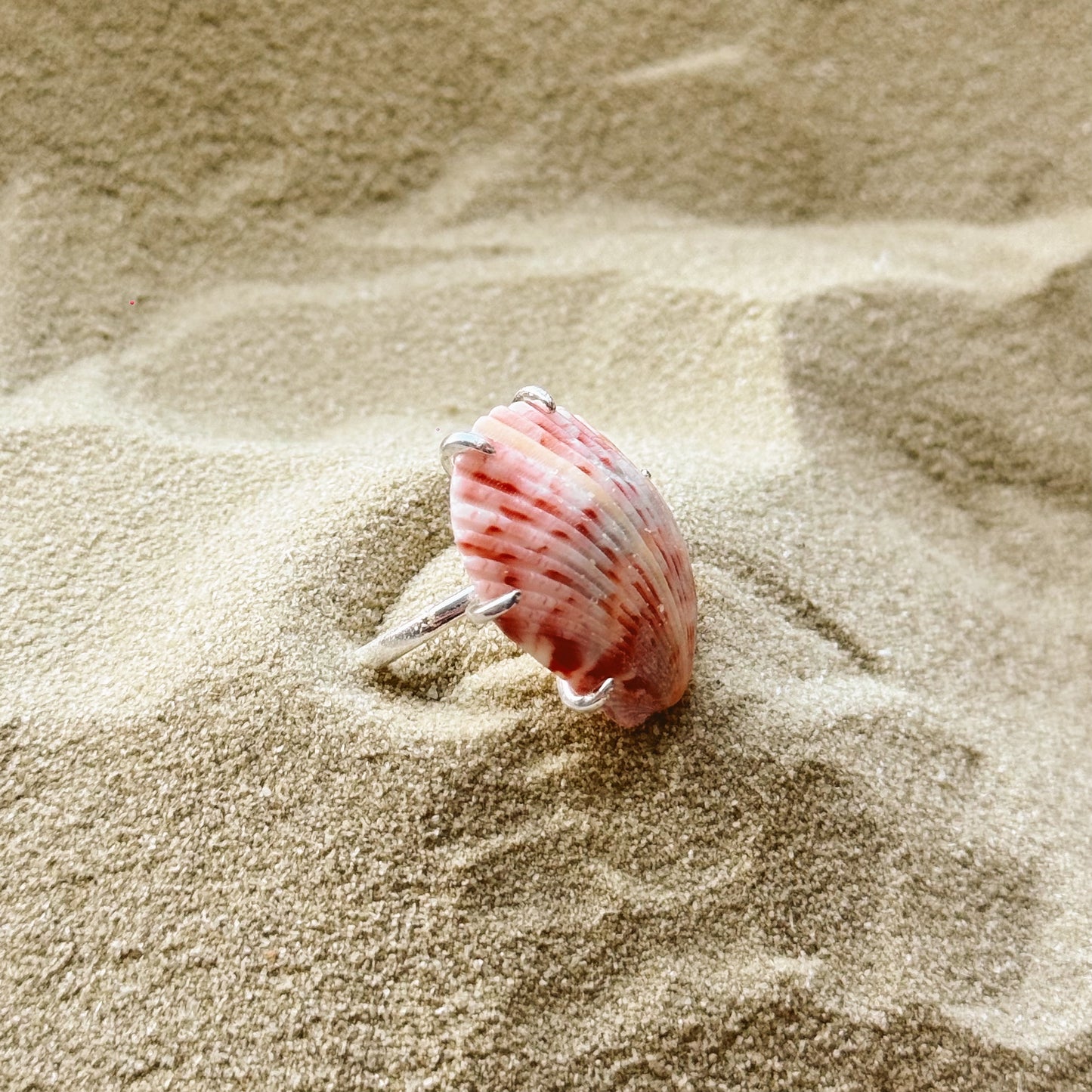 adjustable sea shell ring