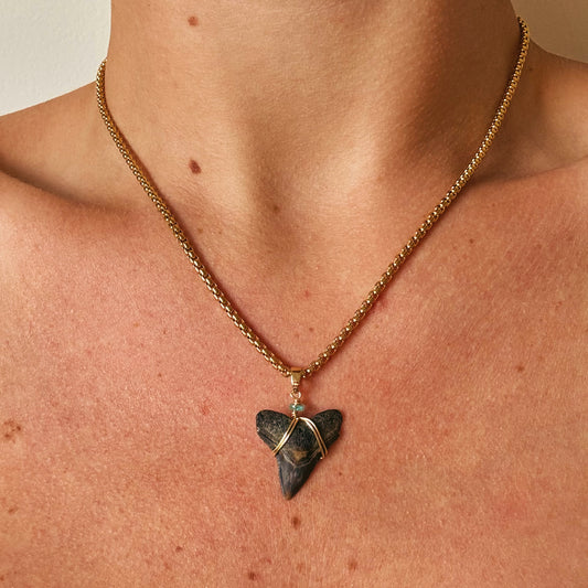 mariner necklace - fossil bull