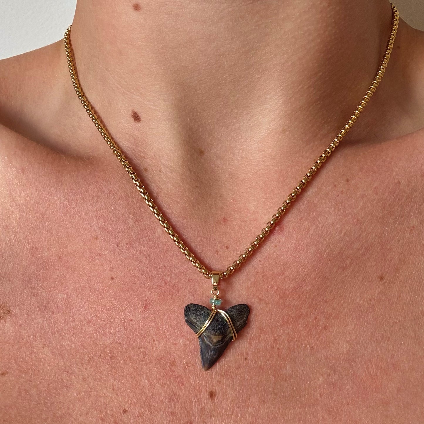mariner necklace - fossil bull
