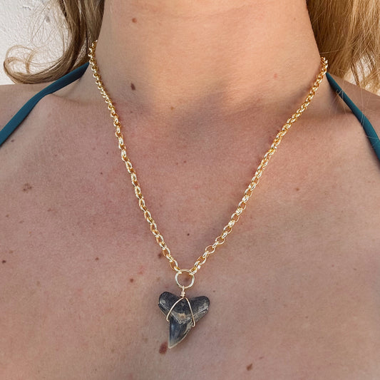 bahama necklace - large fossil bull