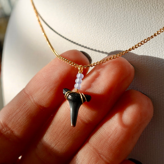 Extinct Sand Tiger Necklace