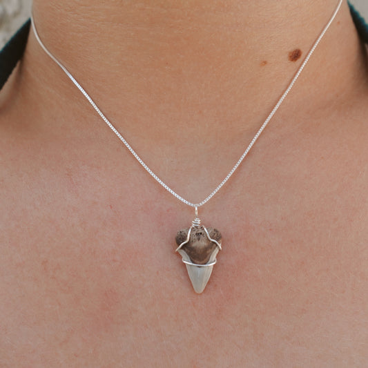 sterling silver bullshark necklace