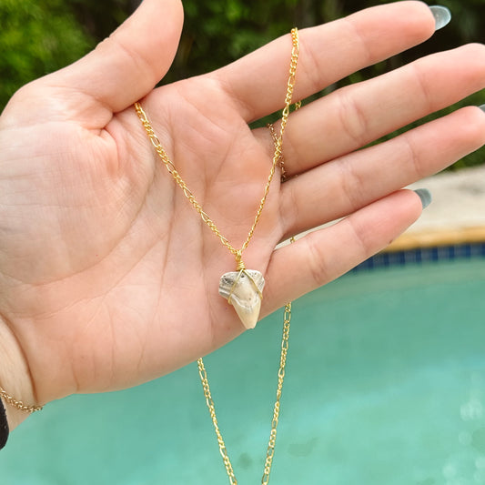 white bull shark figaro necklace