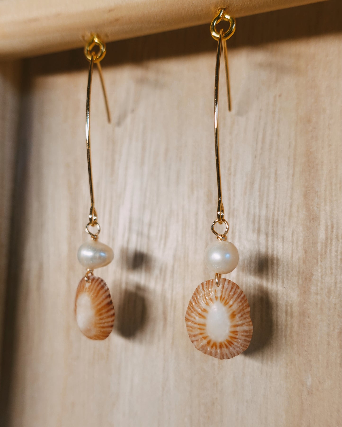 limpet shell earrings