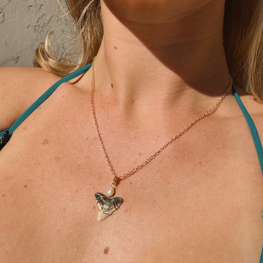 bullshark and pearl necklace