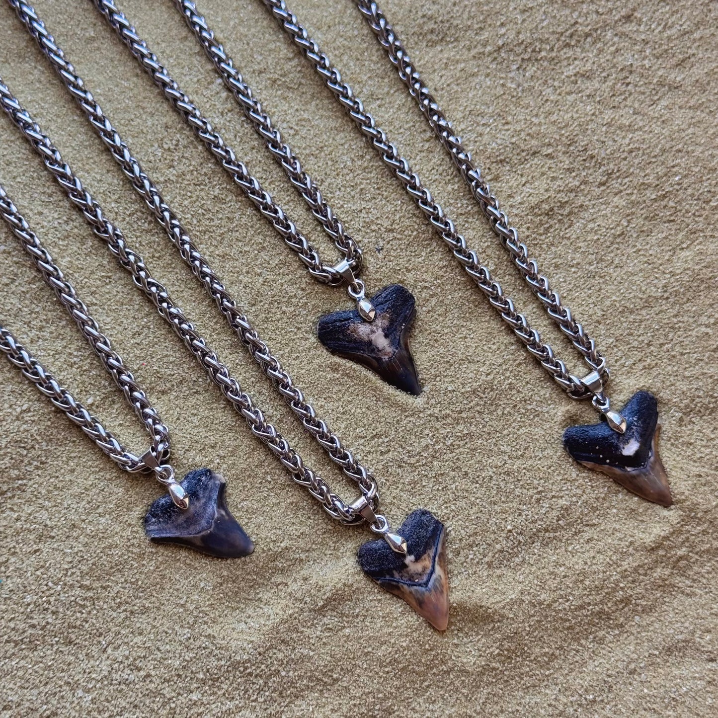 men’s bullshark necklace 18” wheat chain