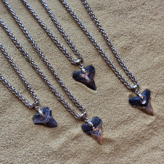 men’s bullshark necklace 18” wheat chain