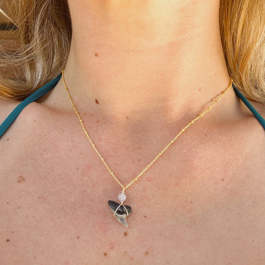 thresher shark satellite necklace
