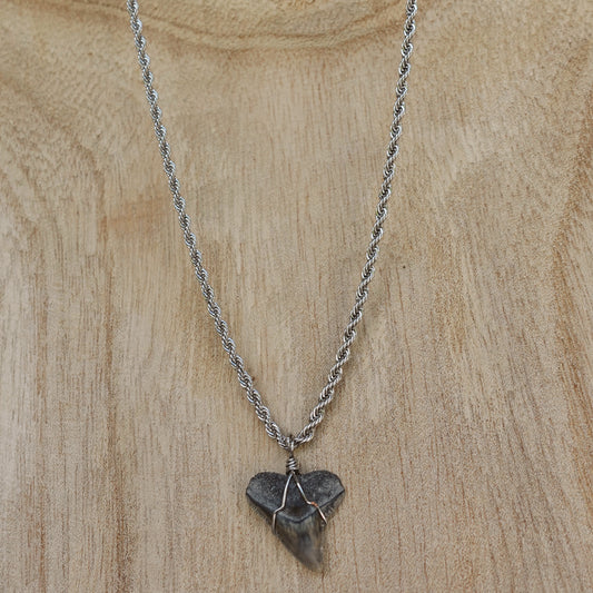 men’s bullshark necklace