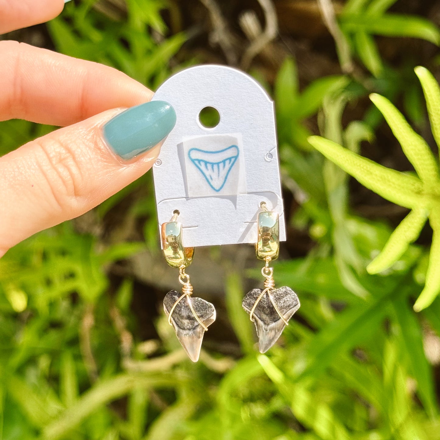 chunky bull shark hoops