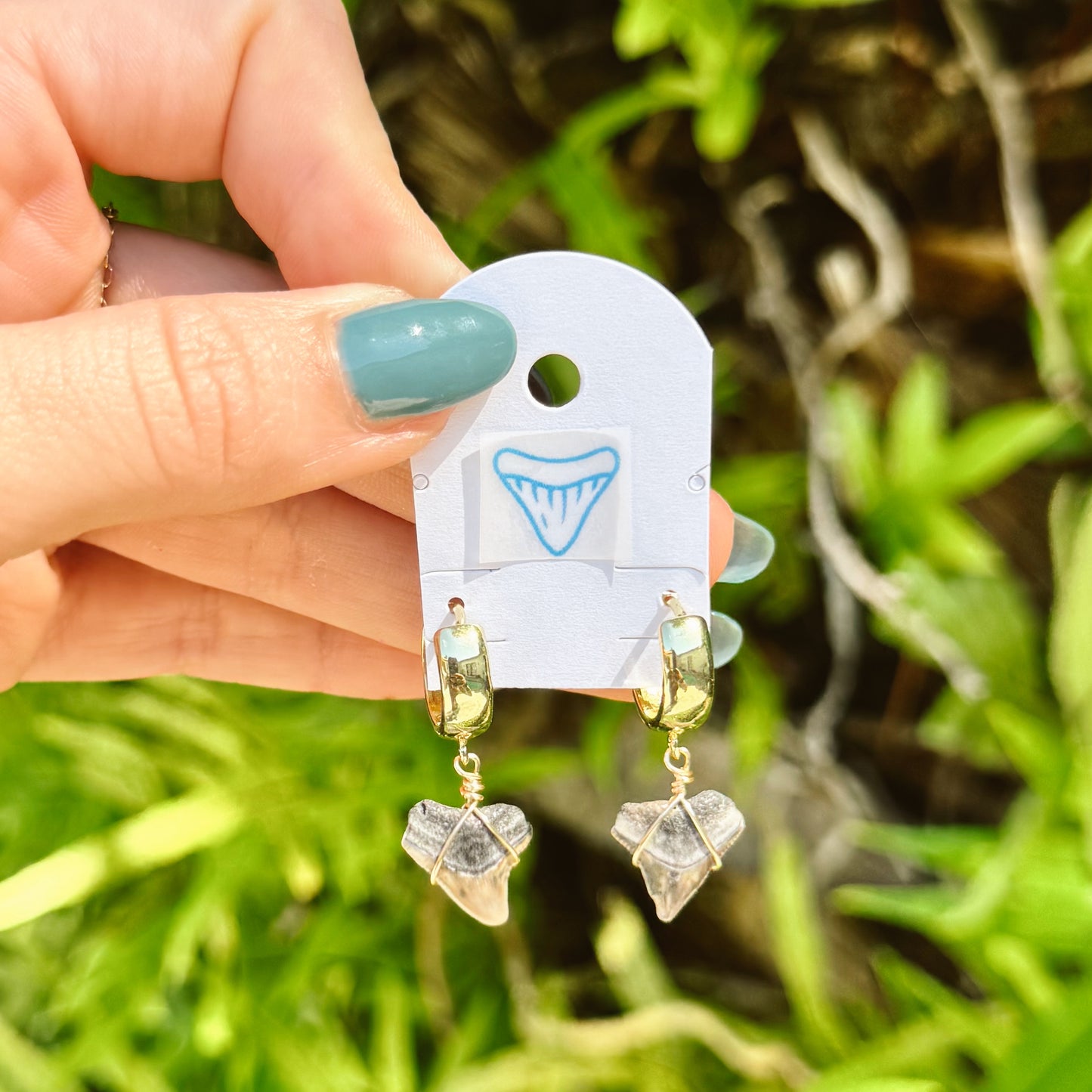 chunky bull shark hoops