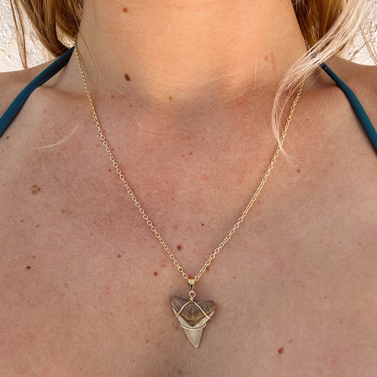 bullshark pendant necklace