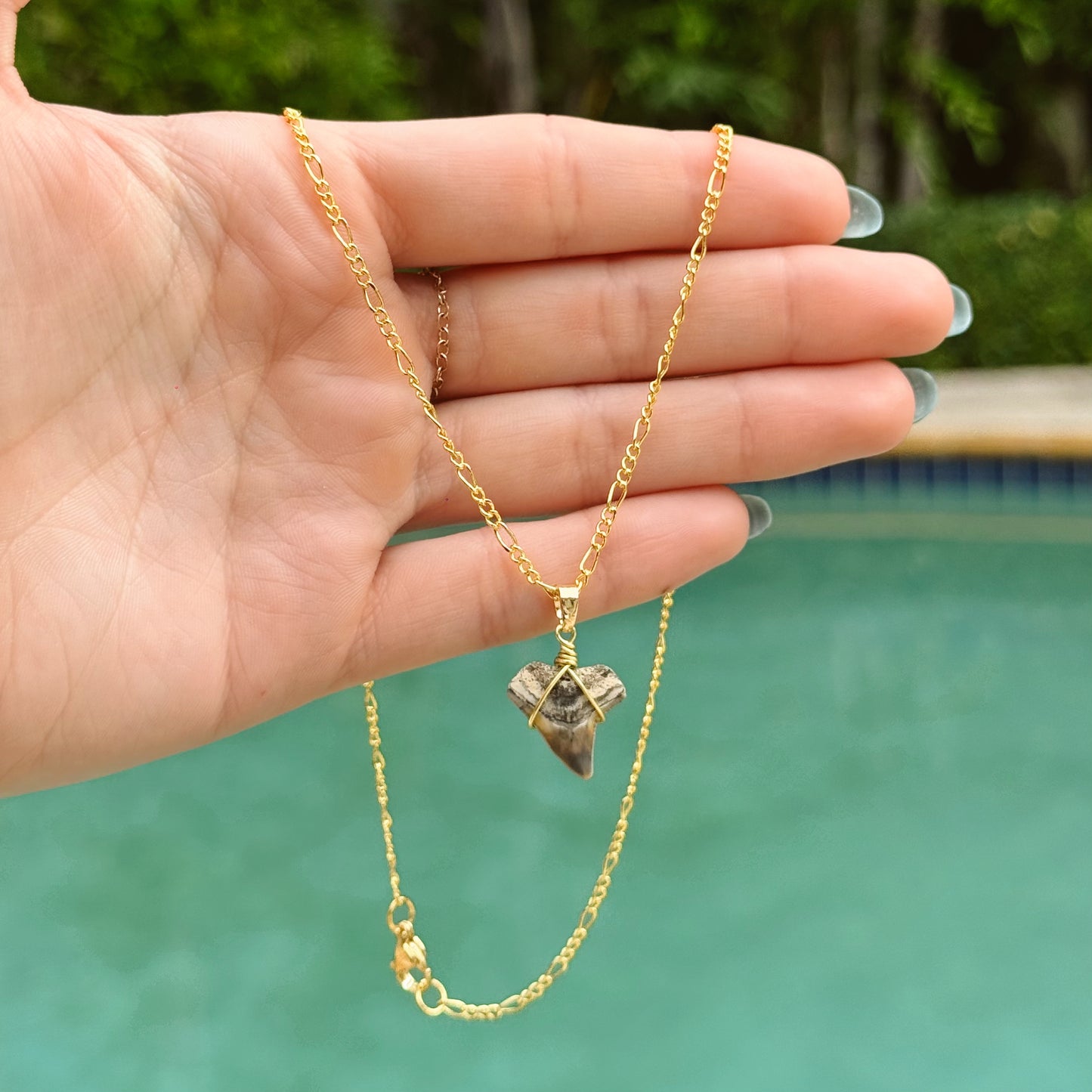 bull shark figaro necklace