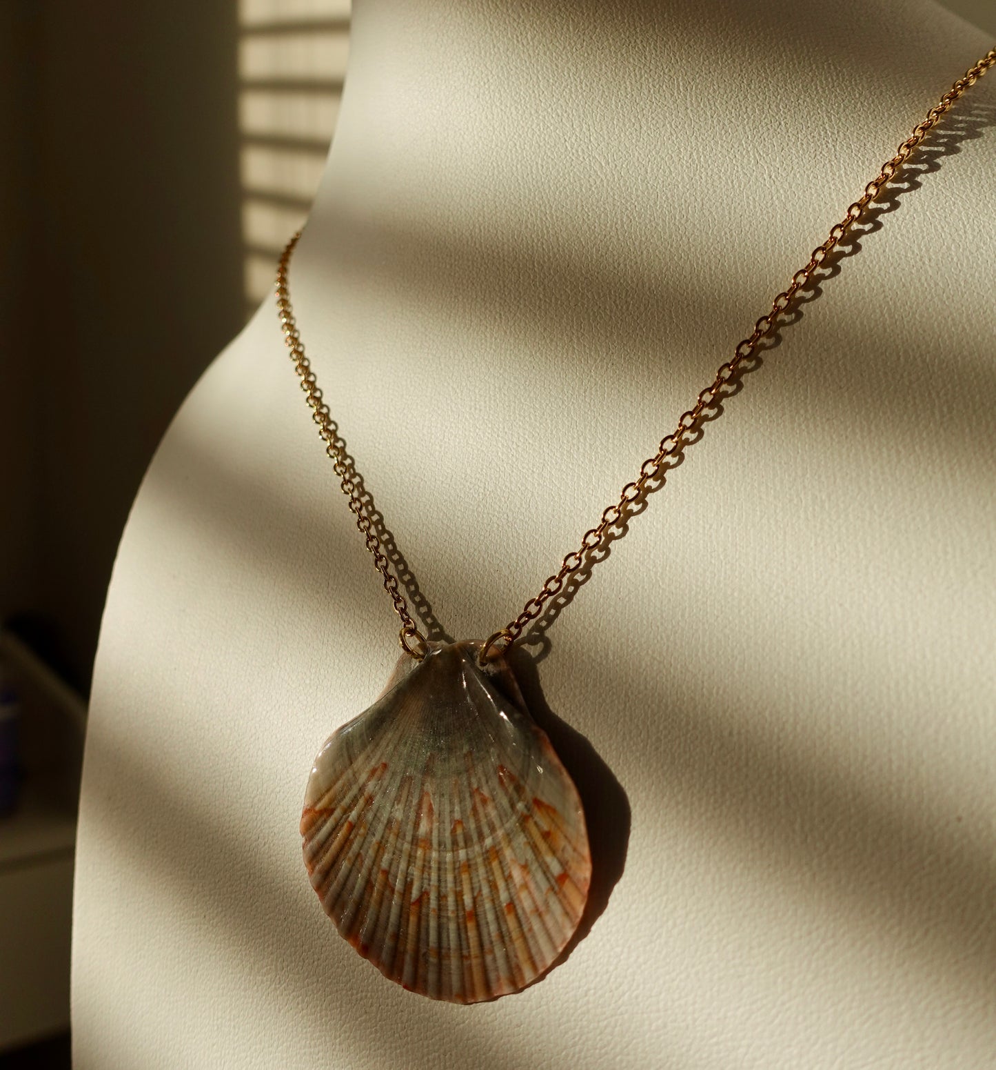 Flat Scallop Shell Necklace
