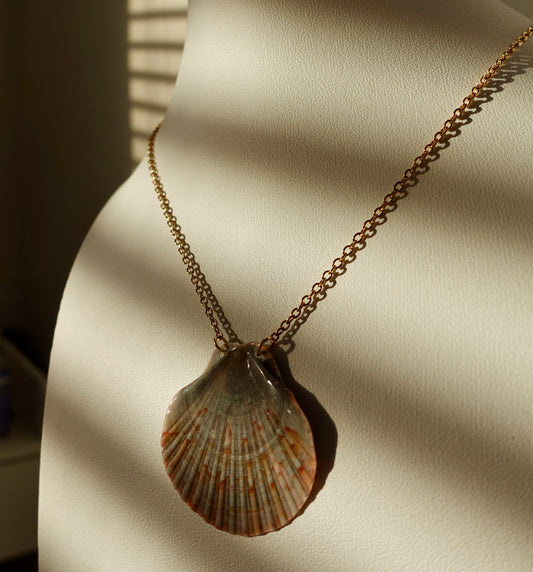 Flat Scallop Shell Necklace