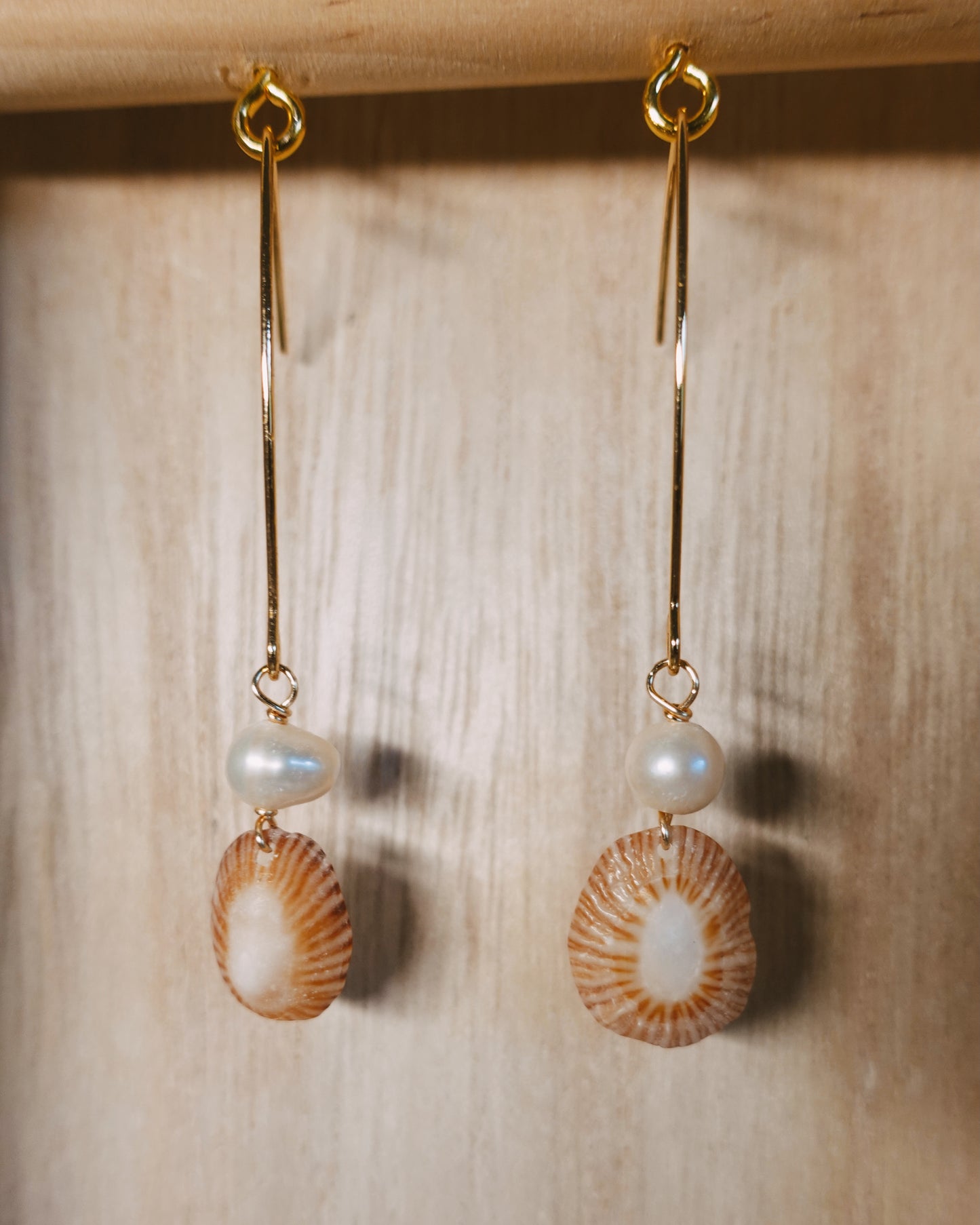 limpet shell earrings