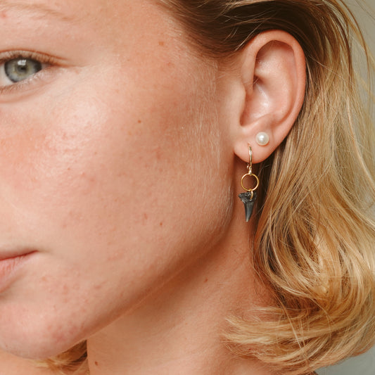 drilled thresher shark earrings