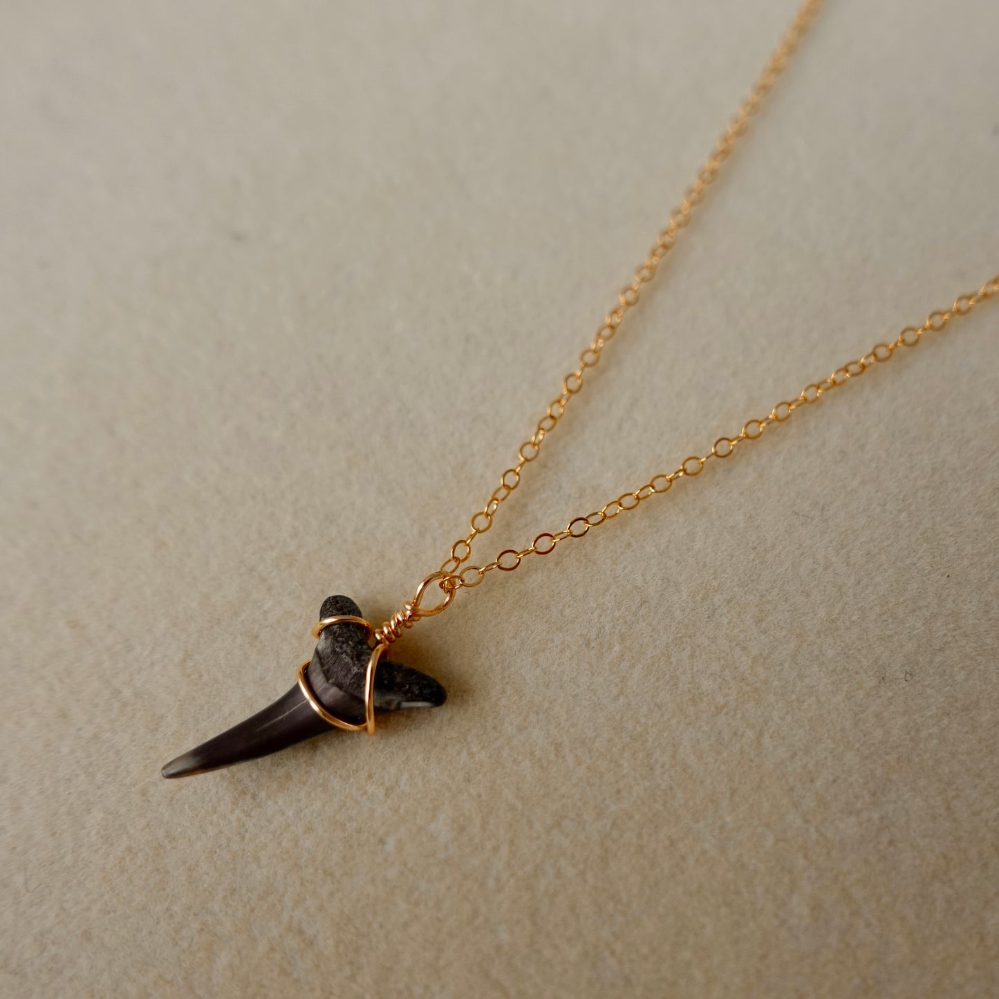 Fossil Mako Shark Necklace