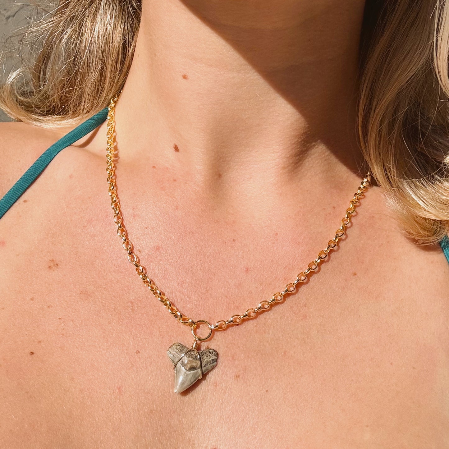 bahama necklace - bull shark
