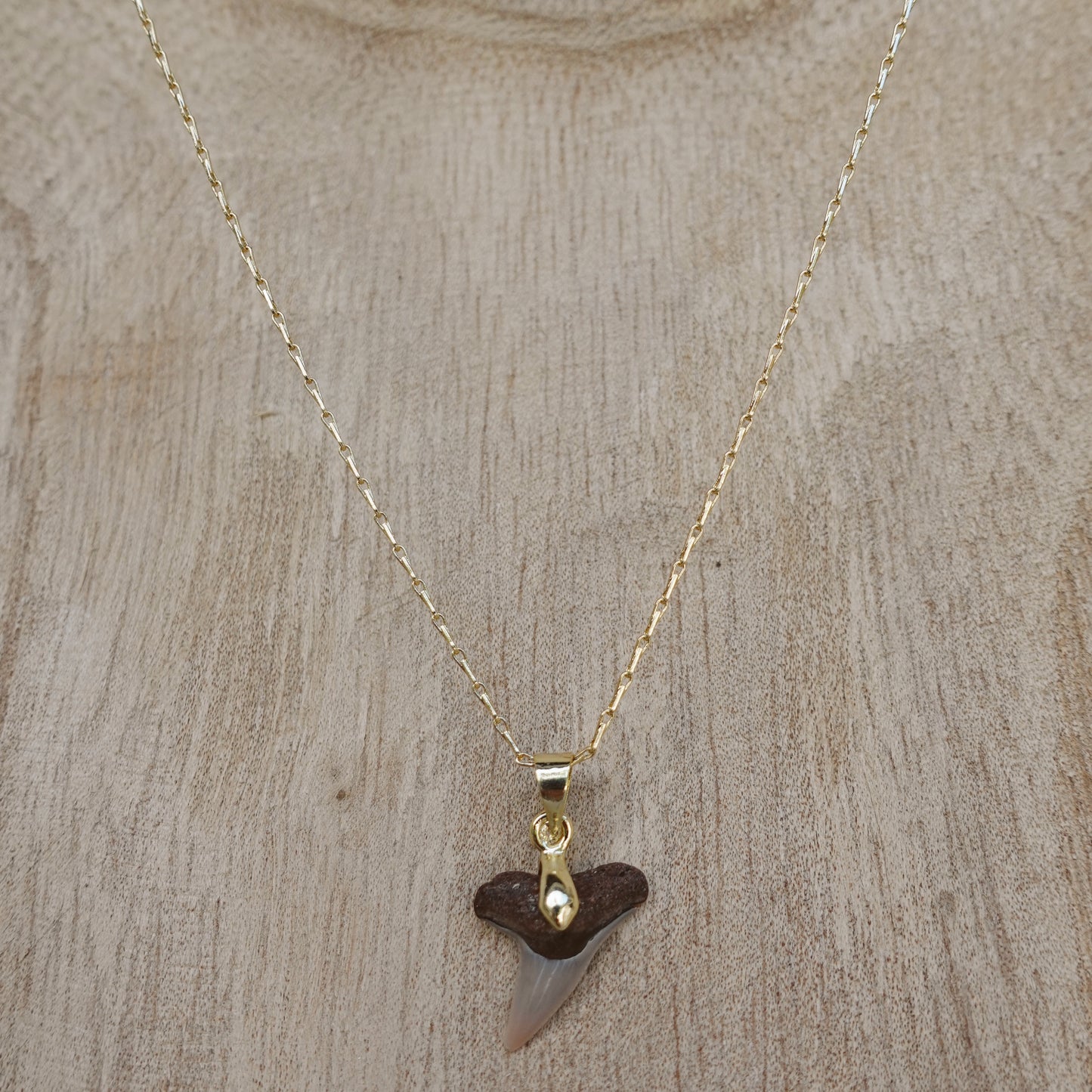 lemon shark pendant necklace