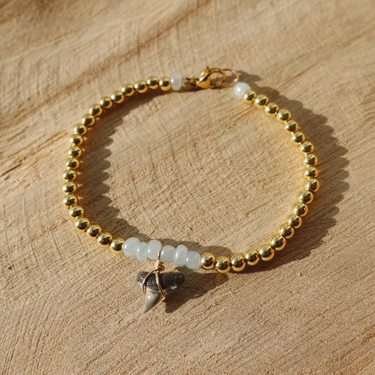 baby tooth bracelet - gold and blue