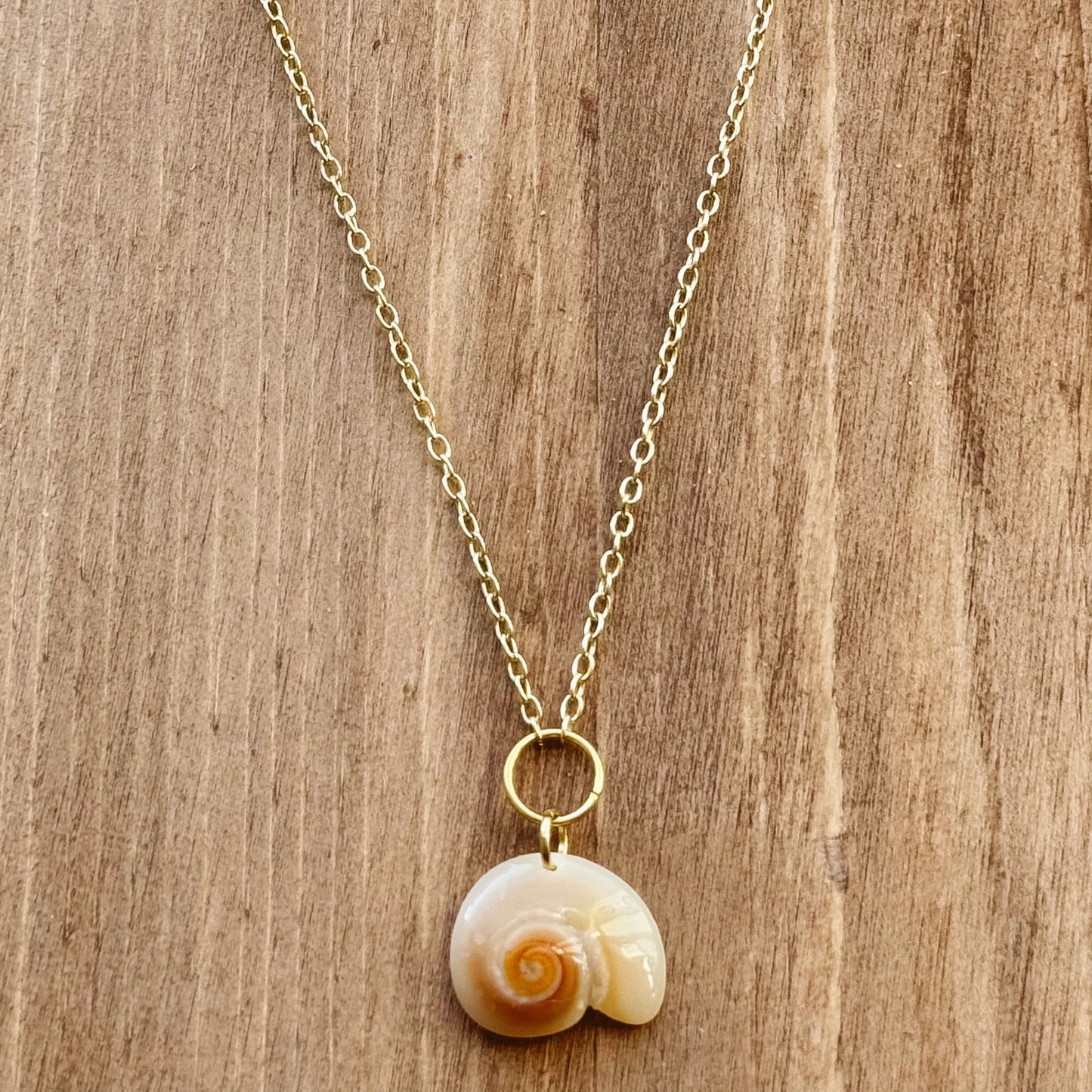 shark eye seashell necklace