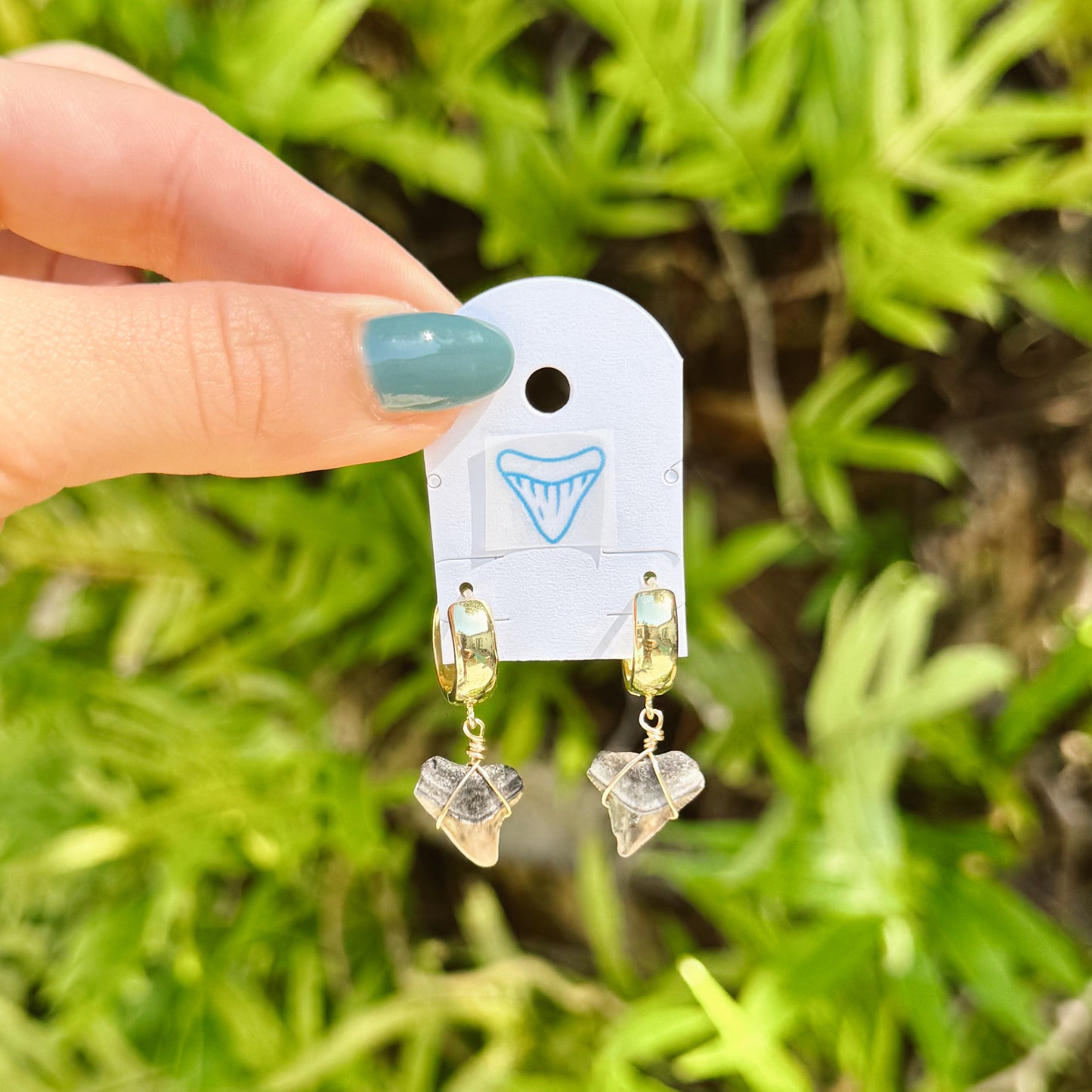 chunky bull shark hoops