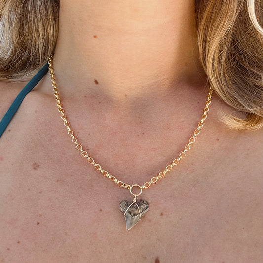 bahama necklace - bull shark