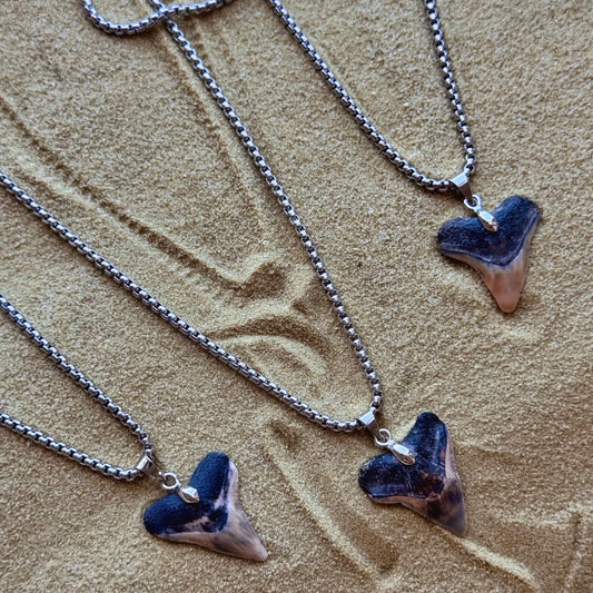 men’s bull shark necklace 24”