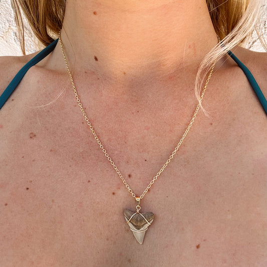 bullshark pendant necklace