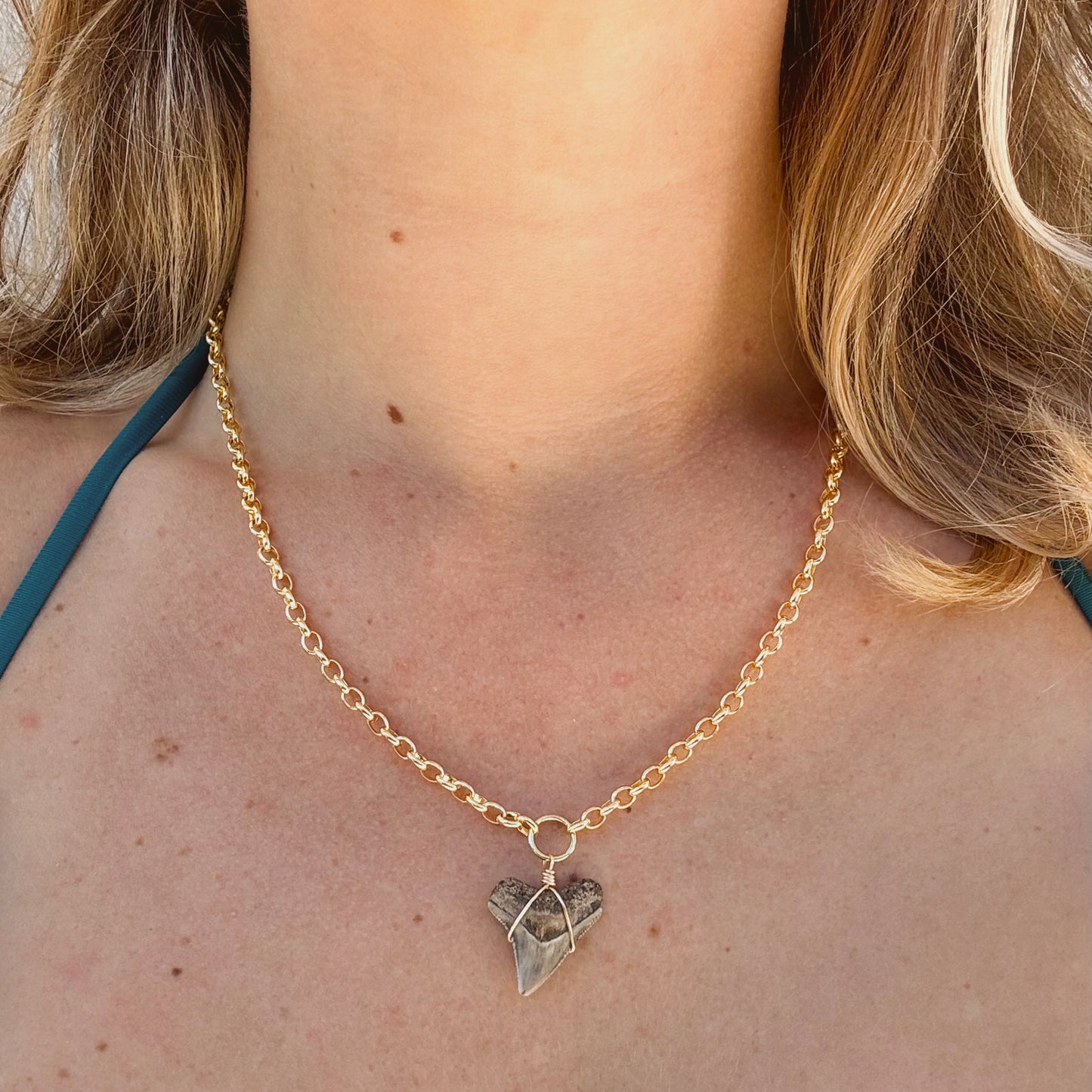 bahama necklace - bull shark