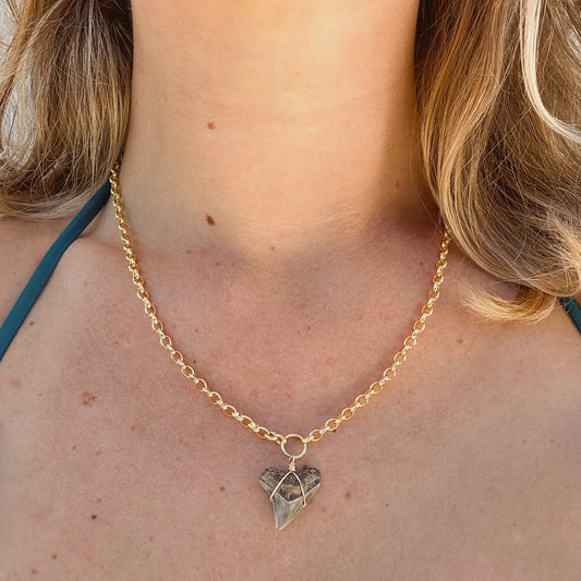 bahama necklace - bull shark