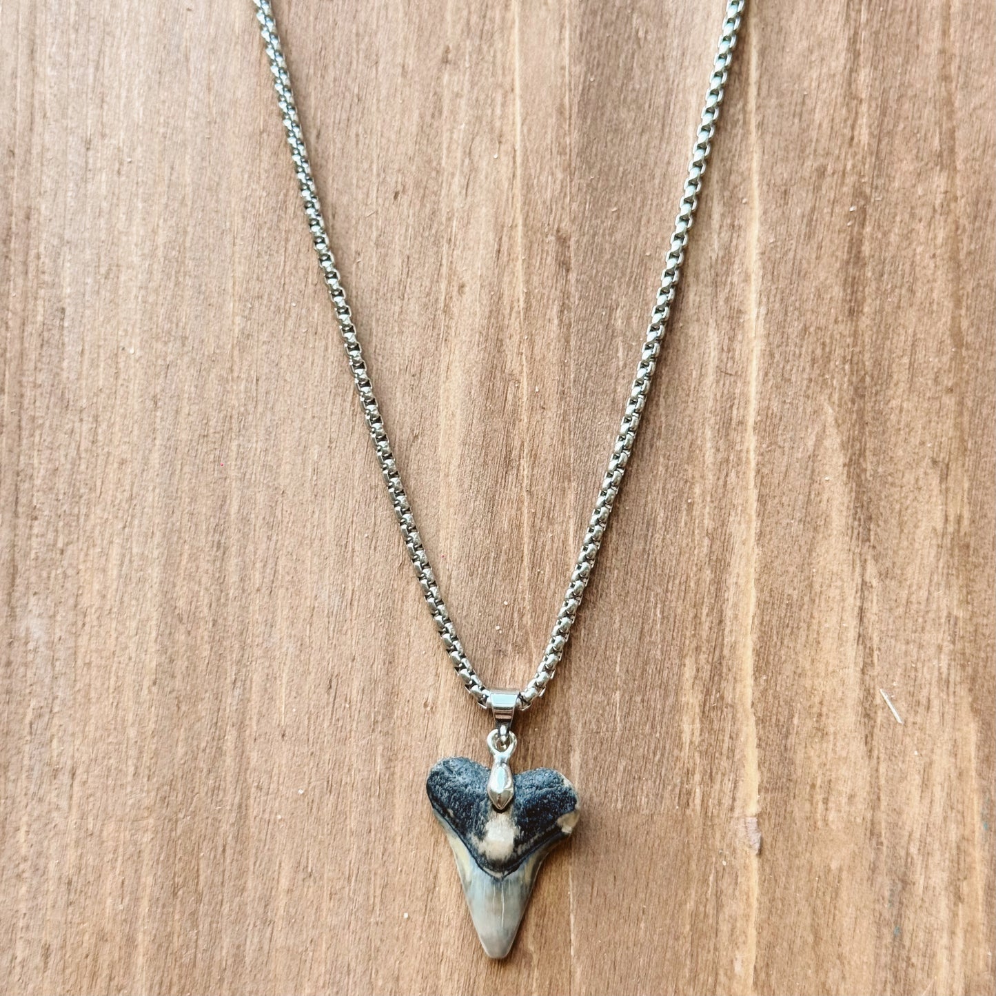 men’s bull shark necklace