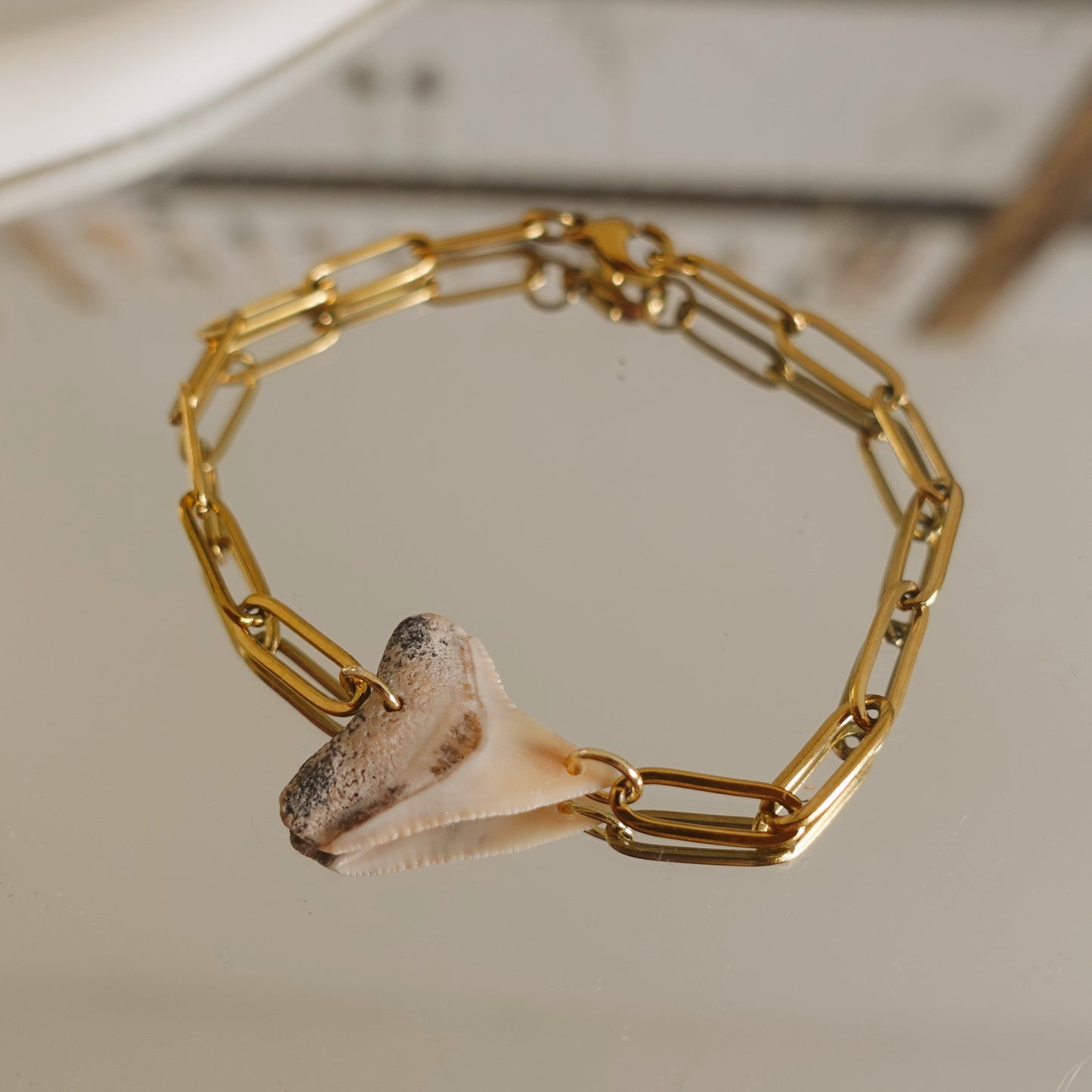 bull shark bracelet