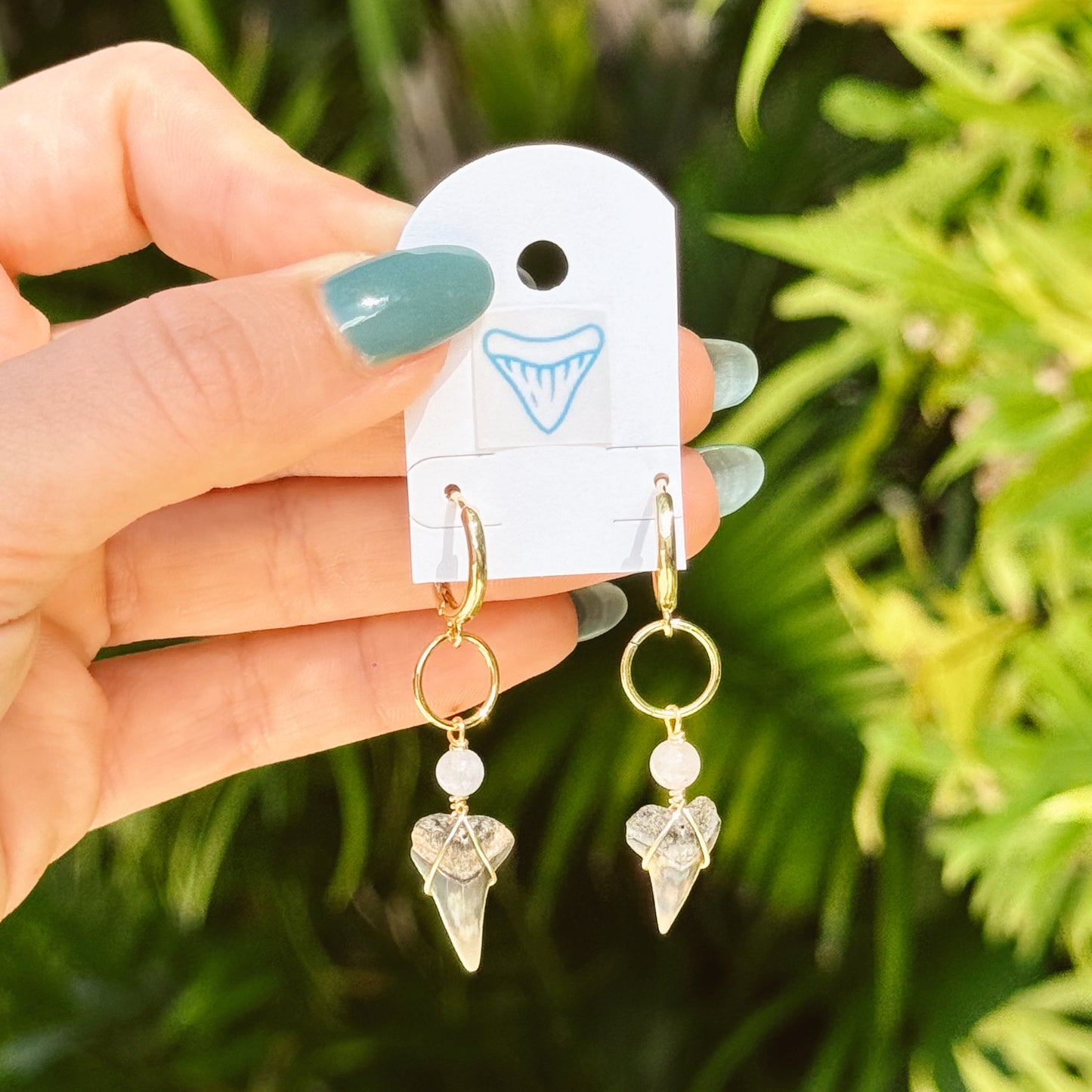 lapis and bull shark huggies