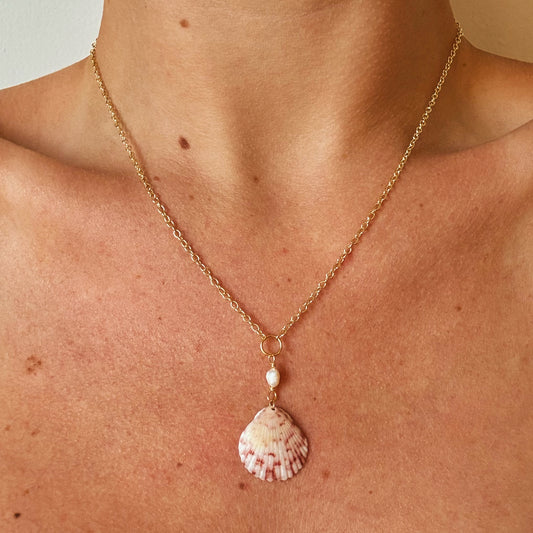 abaco necklace - calico scallop
